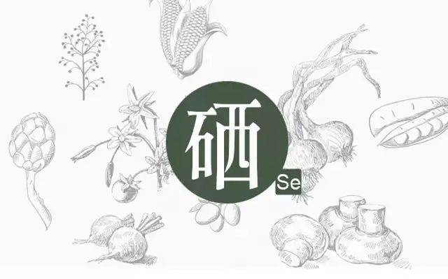 如何科學補硒？